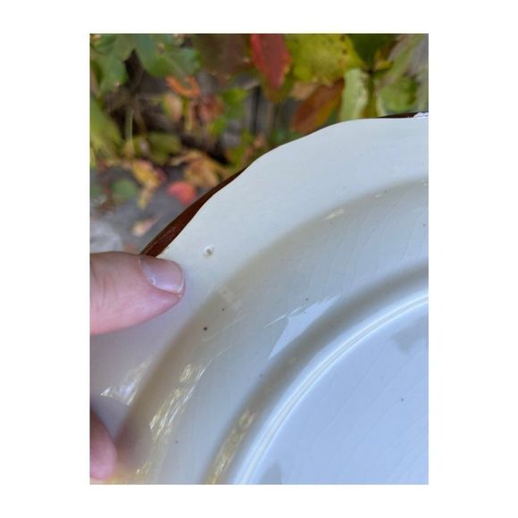 Copeland Spode Divided Plate Platter Spode's Byron England Series #2 - Picture 5 of 6